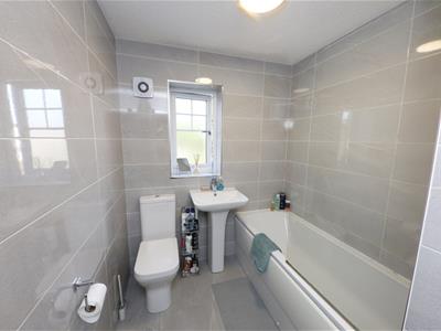 Picture 17